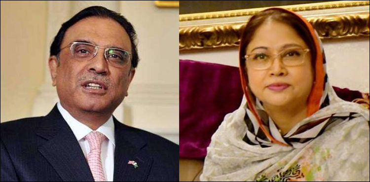 zardari-and-faryal-750x369.jpg