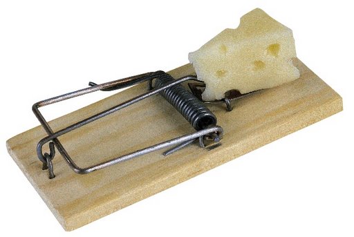 mousetrap.jpg