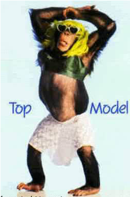 funnymonkeymodel_rscex.png