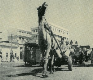 Life-Pakistan-1948-3.jpg