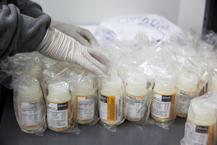 21JPMILK2-master315.jpg