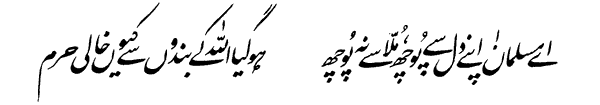 5.GIF
