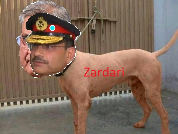 zarhafiakuta.jpg