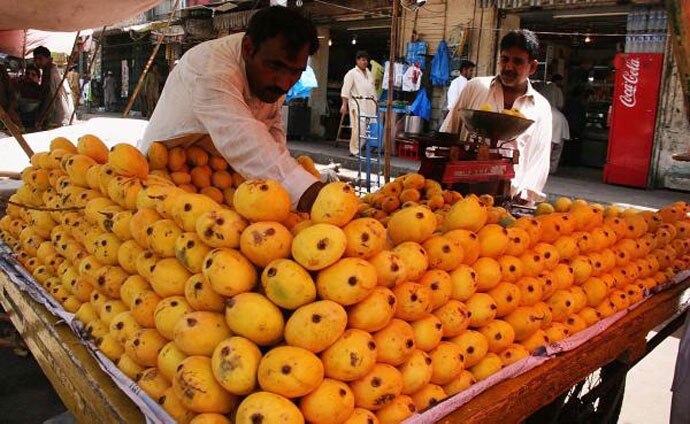 pak-mangoes_081415061213.jpg