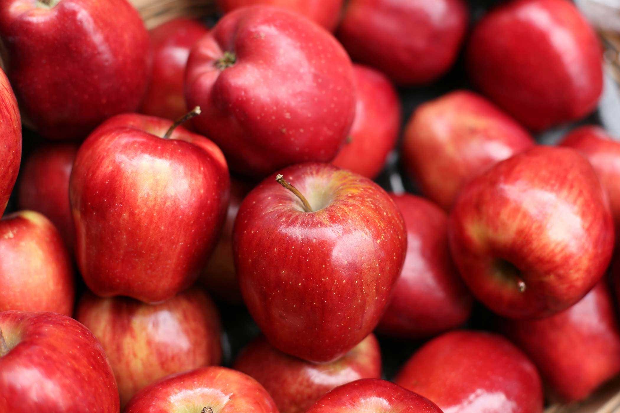 Apples.jpg