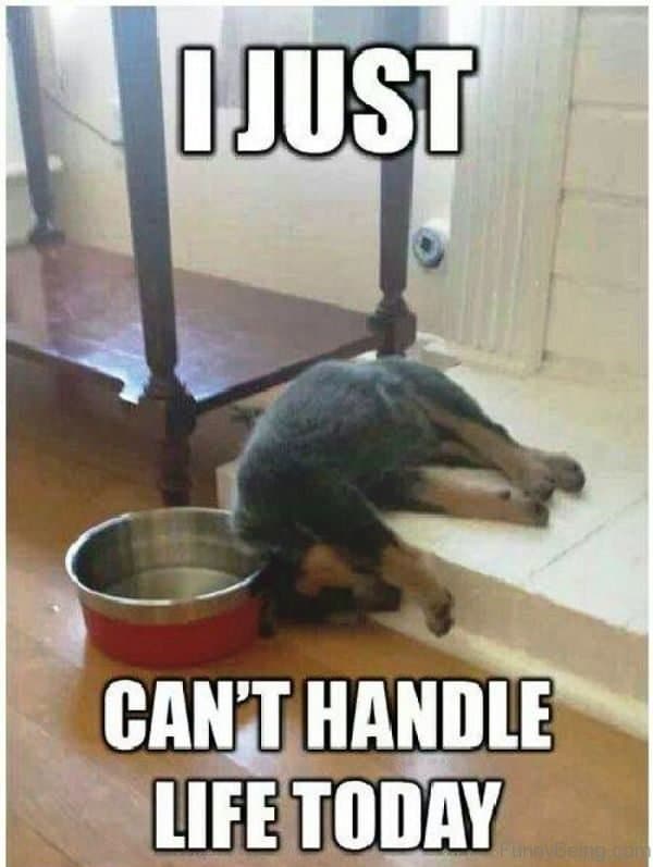 i-cant-handle-life-meme.jpg