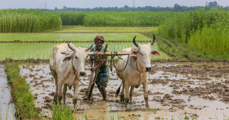 Kisan.jpg