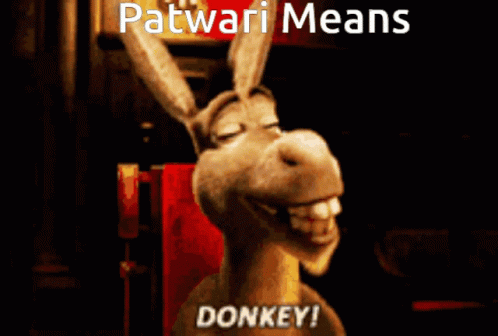 donkey-patwari-means.gif