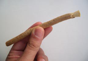 miswak.jpg