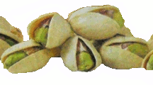 pistachios-11.png