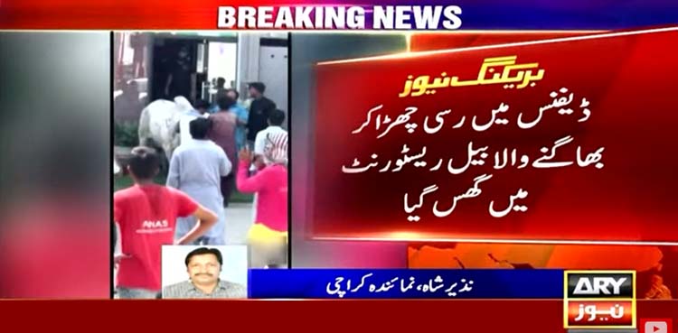 urdu.arynews.tv