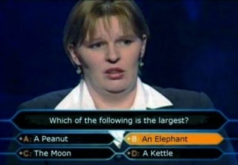 Stupid-Woman.jpg