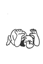 ROFLMAO2.gif