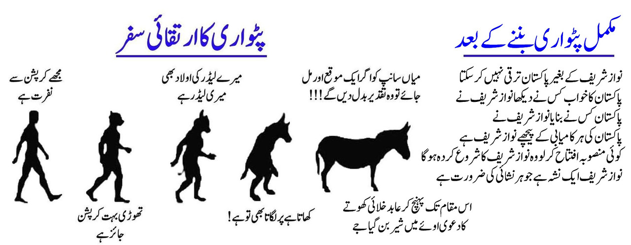 patwari.jpg