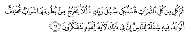 16_69.png