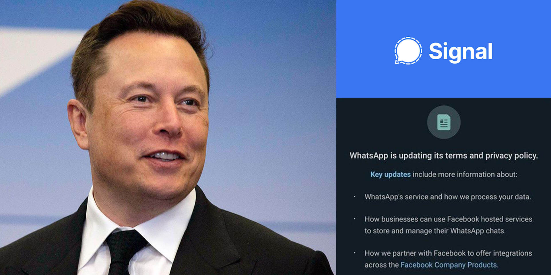singal-sees-huge-spike-after-elon-musk-suggests-1.jpg
