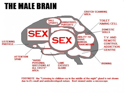MALE+BRAIN.jpg