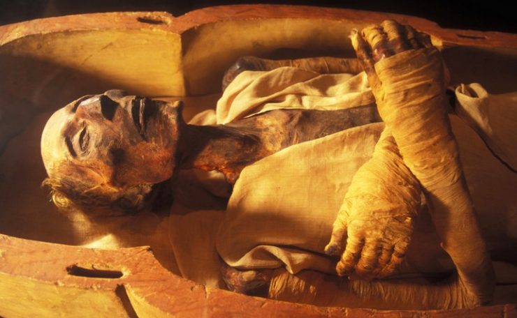 Body-of-Firawn-740x456.jpg