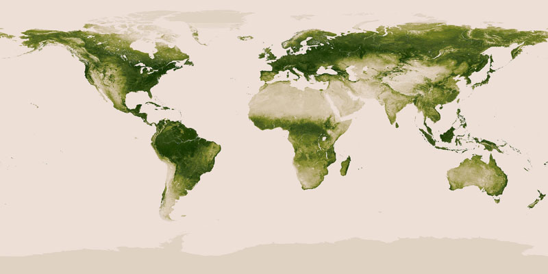 map-of-vegetation-on-earth.jpg