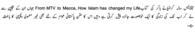 4291_02.gif