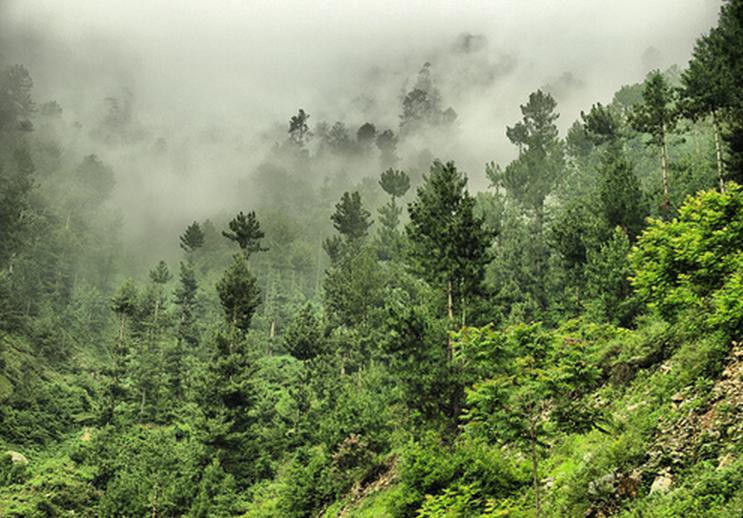 Murree%21.JPG