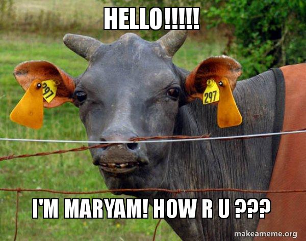 hello-im-maryam.jpg