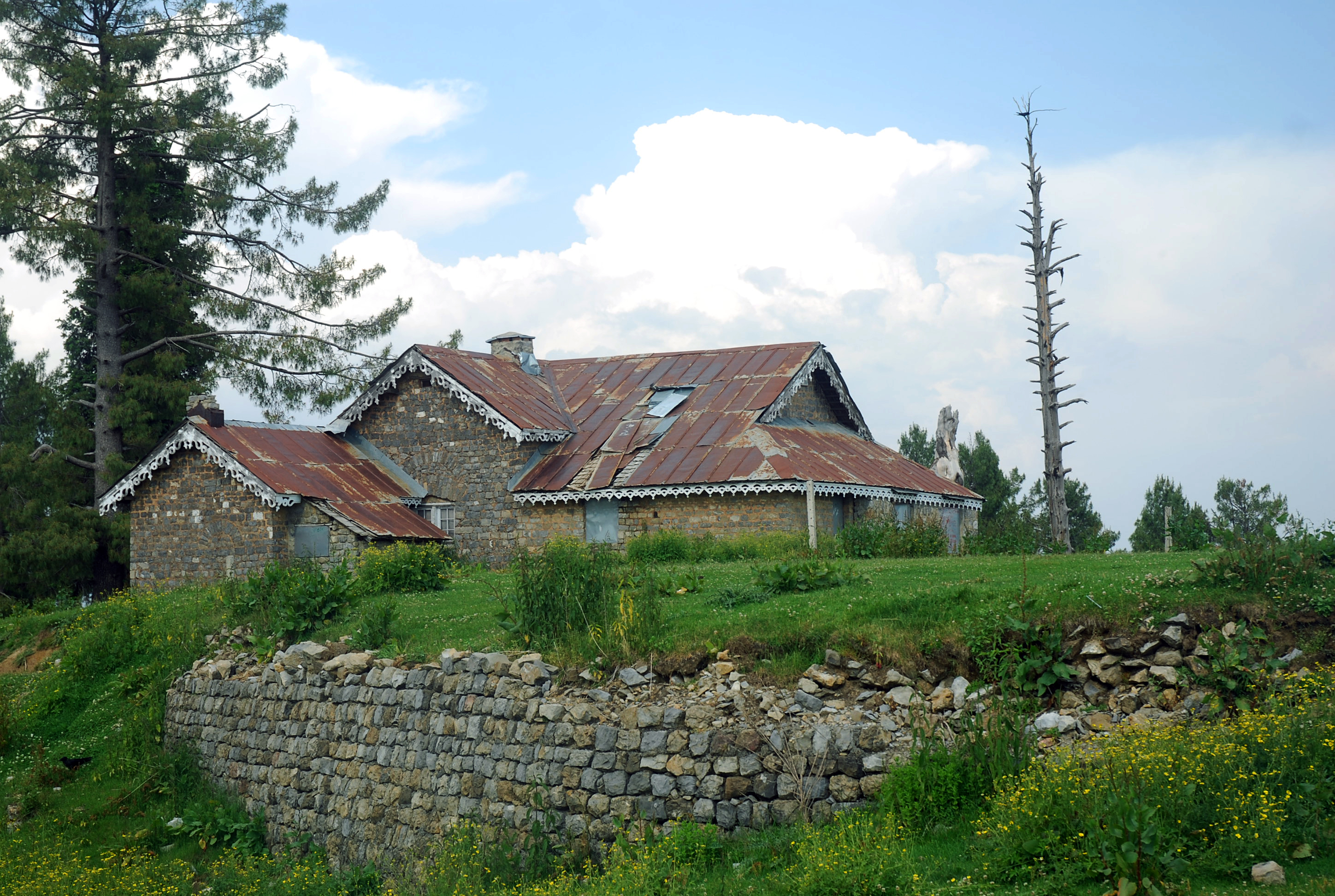 Natural_Scene_of_Thandiani%2C_Pakistan.JPG