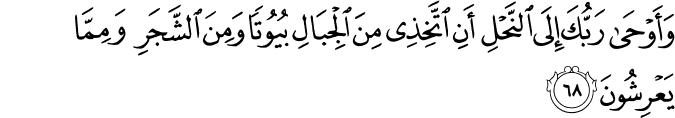 16_68.png