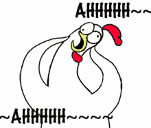 chicken-chicken-bro.gif