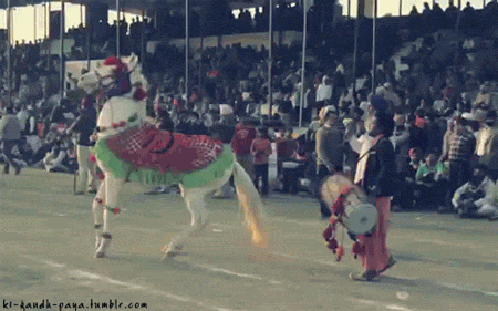 tumblr_m88x4rBxTX1r42y0po1_500.gif