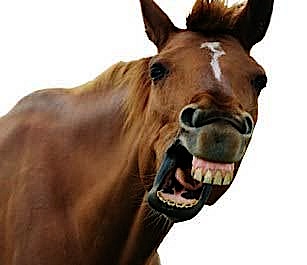 horses-arse.jpg