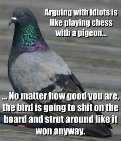 6e9a0e280dc4da7ba07be3ba5b07c674--chess-funny-shit.jpg