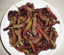 mulberries.jpg