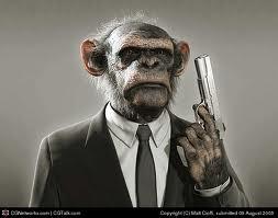 007_monkey_ggqkf.jpg