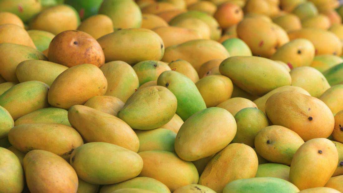 Mango.jpg