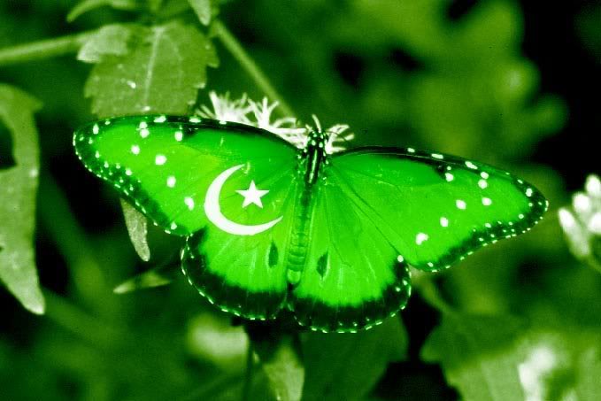 FlagPakistan123.jpg
