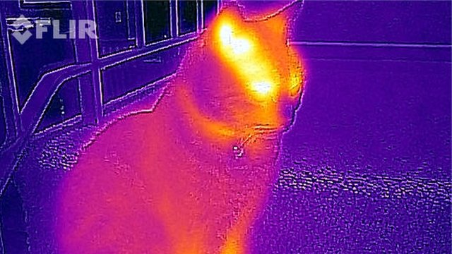 _72168622_ir1.jpg