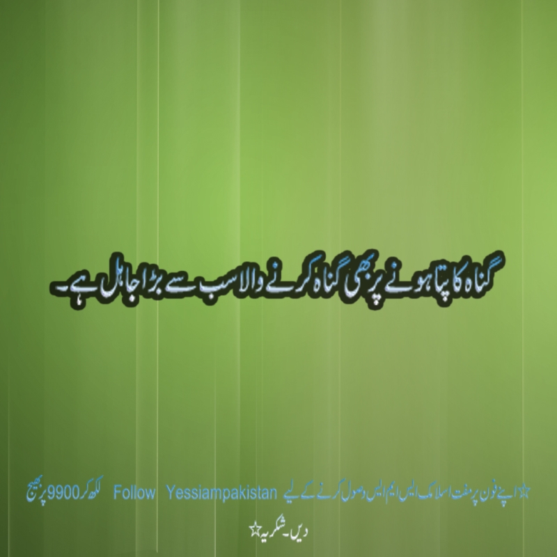 00029_full.jpg