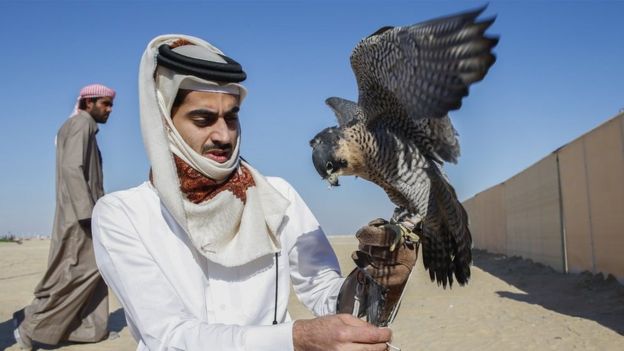_83170094_falconry.jpg