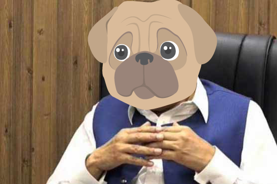 592808-83684675.png