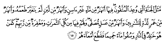 47_15.png