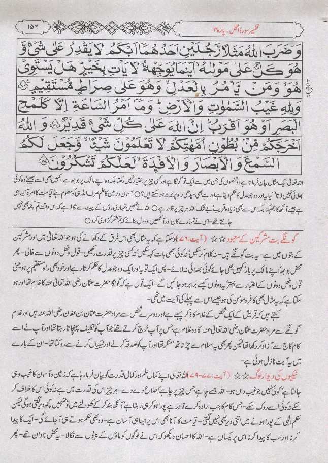 156.jpg