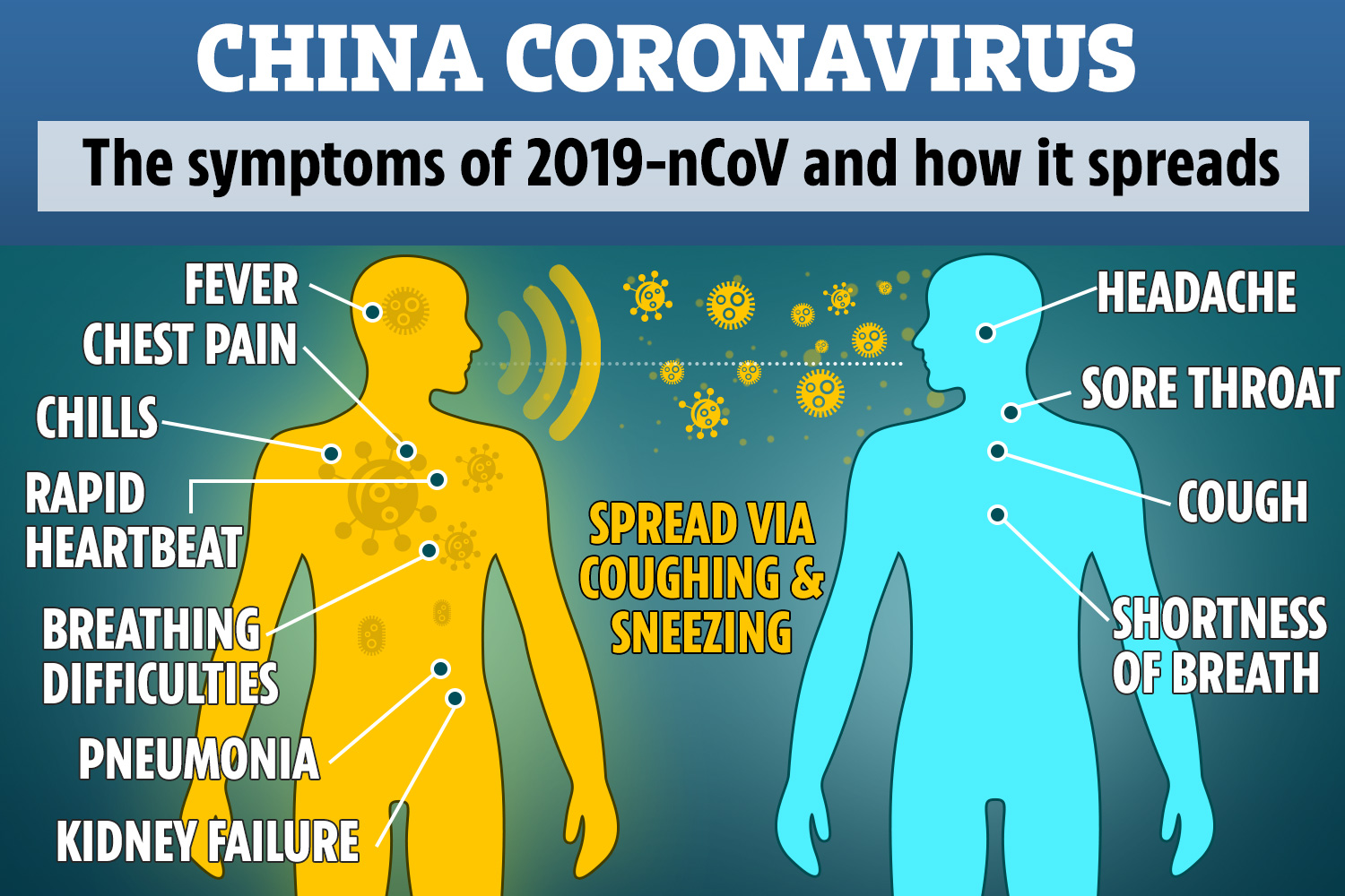 DD-COMPOSITE-CORONAVIRUS-GRAPHIC-2.jpg
