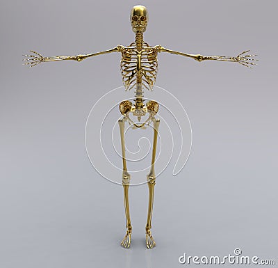 gold-human-skeleton-18959642.jpg