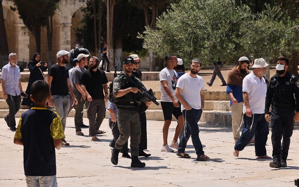 www.timesofisrael.com