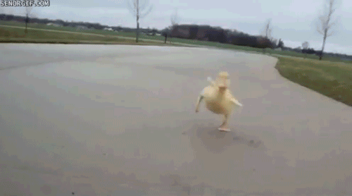 tumblr_mh7dewTkXY1qam7gto1_500.gif