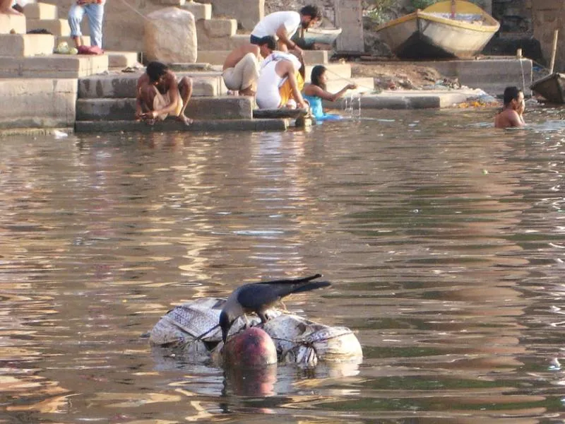 floting-bodies-in-ganges.jpg