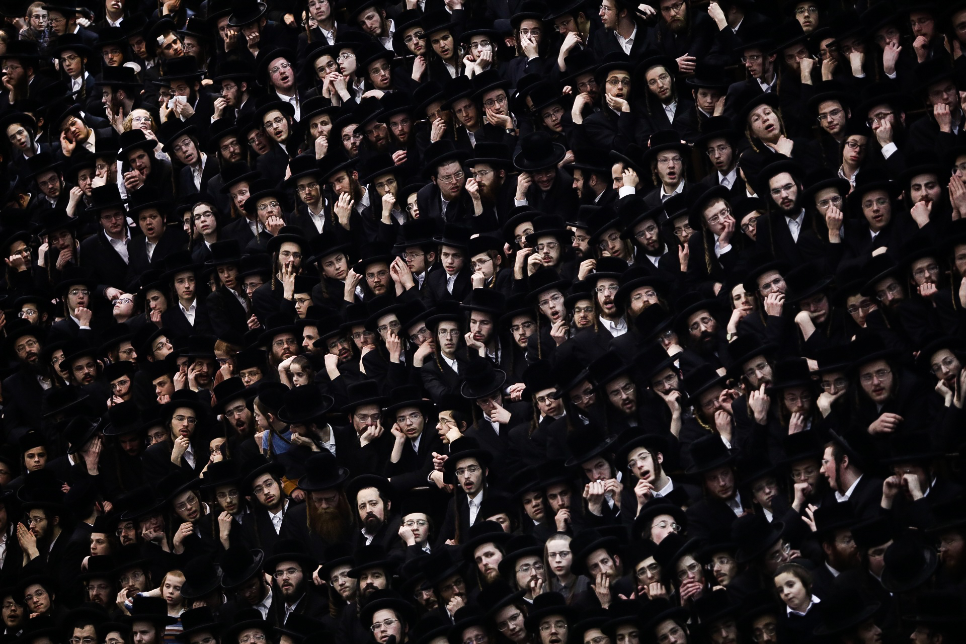 www.timesofisrael.com