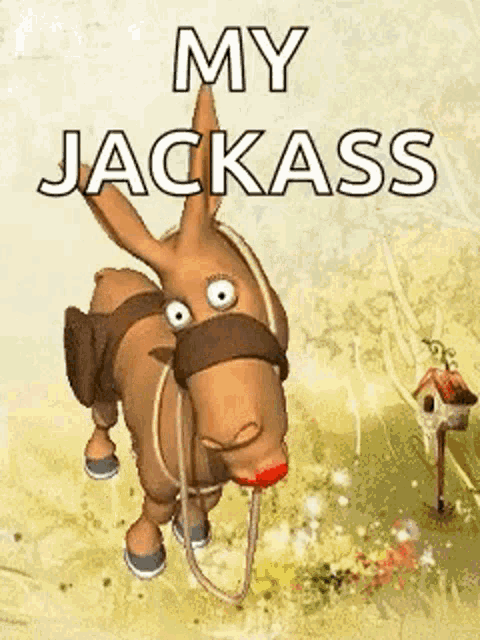 asino-donkey.png