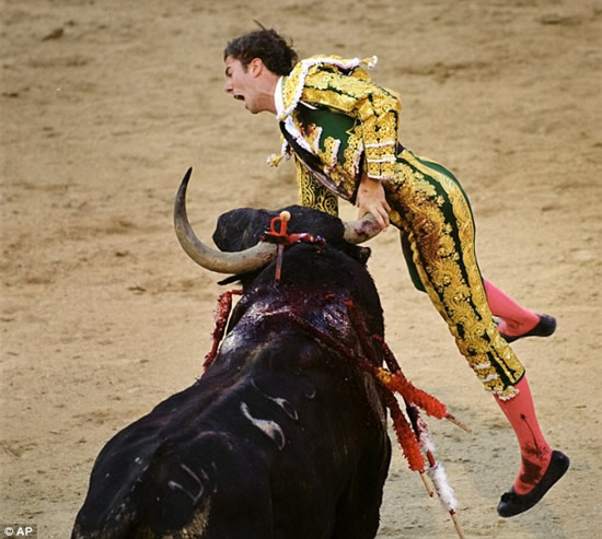 bull-fight-accident4.jpg